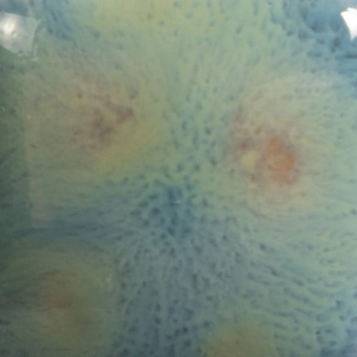 2866d7249b56bed159eb7ce691ca4de0