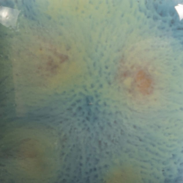 2866d7249b56bed159eb7ce691ca4de0