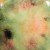 fb8c6bd11446d5db433df3ec83f4ad8e