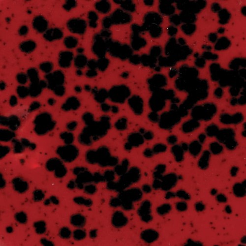 d587d029d2d8c6aa83f5b921d70edefb