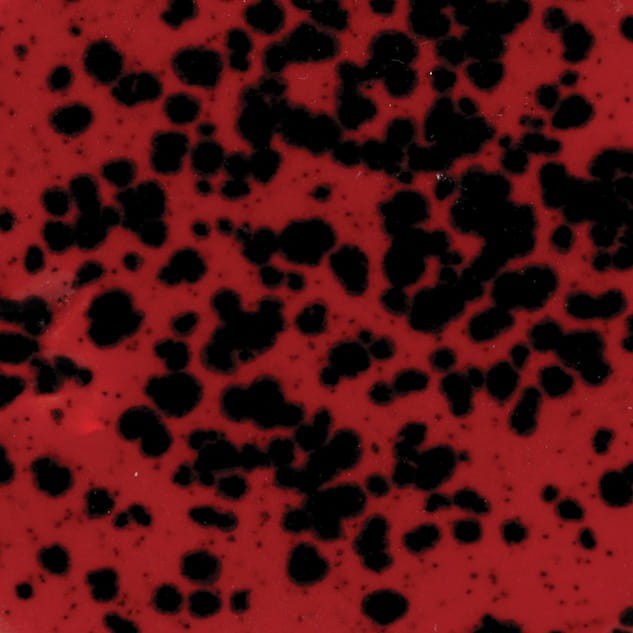 d587d029d2d8c6aa83f5b921d70edefb