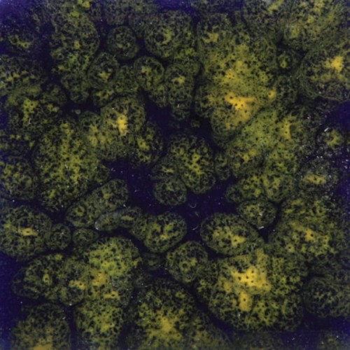 1c6bff3ab5b75cac17ee93f432f5e8a4