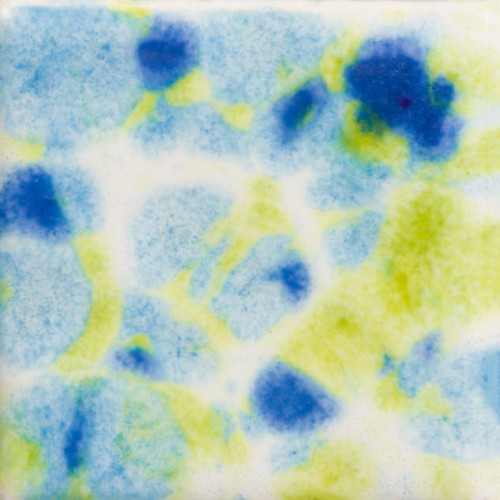 26638ae58cf77a152794a57651876765