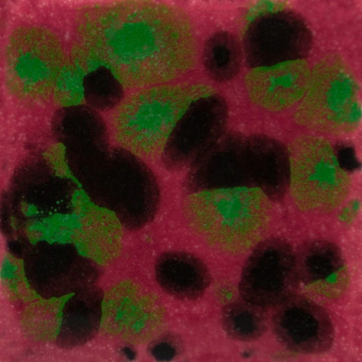 2e75d400134997b079b34400643a8cea