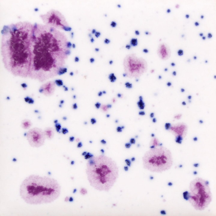 3d6609348cb684c76d75bc6dbe952bcd