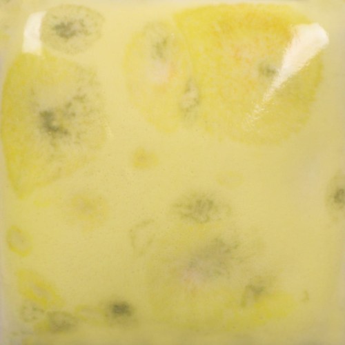 1358c3b7d684fc35adffe10cea55c6d9