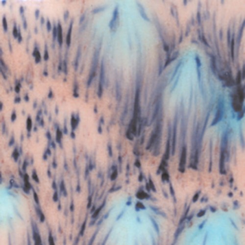 6d18cf6d866b183de2ea42a39283b1a8