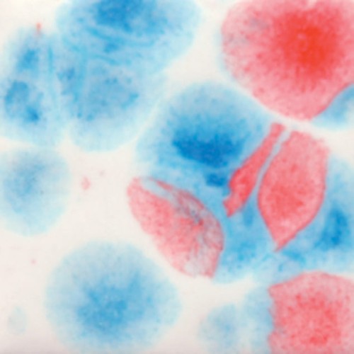 13dab99f3bd9f8f795289afa17193ceb