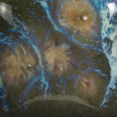 369ea0e1786fc5ba0aca7891b1c51a31