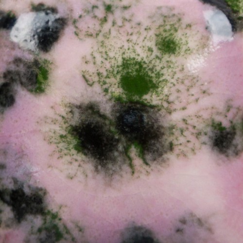 dd9d322108a51d6c00fcd9489e02e888