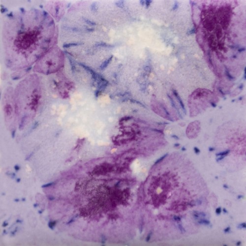 1bf958920c4a9b9fd307c7ba901931a7