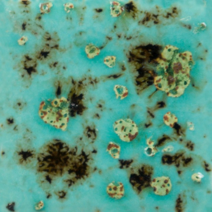 662c0a705e5246a32400324b6b4b12f0