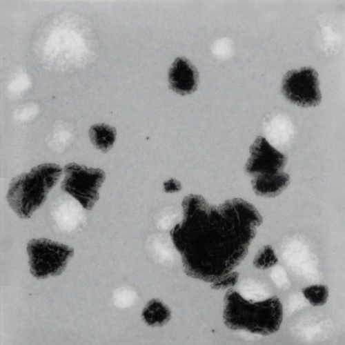 0ccda80741afe901f619a7357b895284