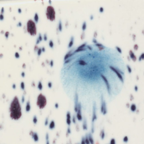 a891304d22673b0c20744df82a8c1cbc