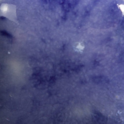 c6244d1a75bfb09dcfa185add60d0e45