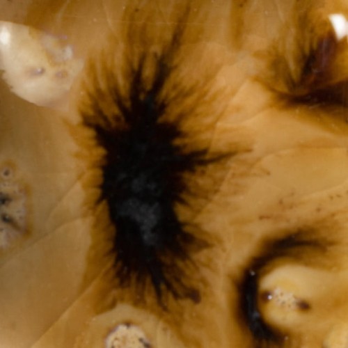 51cada9a82beecdb544ea4a8b7efeac5