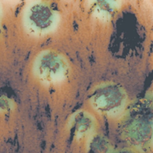 19bec85ce09779394733da7c5a5d4dd1