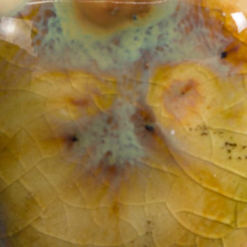 d06304be1271c2635692d8c09ad95bbb