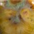 d06304be1271c2635692d8c09ad95bbb