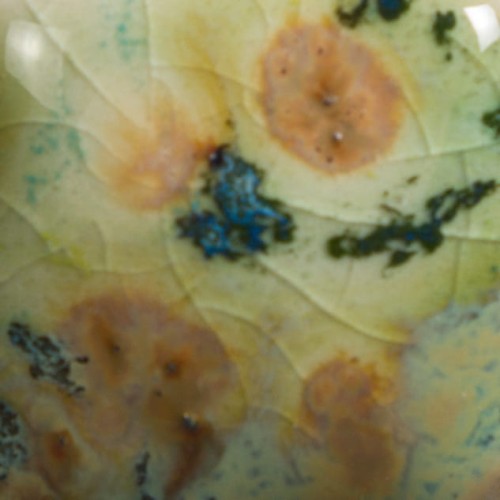 fc4f6a9472c423143cb10903f7395cb7