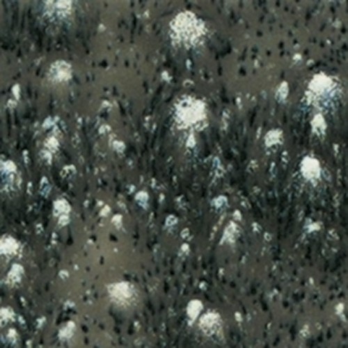 e455feda965971def717aef8e6ce4df6