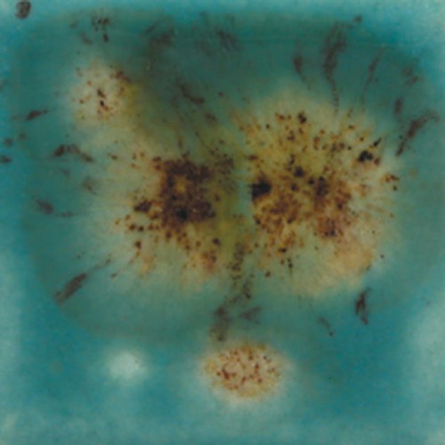 43ee68b3a83fc4988d92903f3ed9d0af