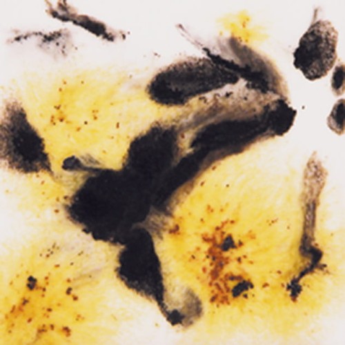 ffe9134ab50d4e66a485600d0e96fc2c