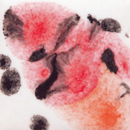 8f08bf7cedeb4d5aee8a233adf8a3b7a