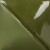 c52b8902ab4da3170c5bafa92a4eabf5