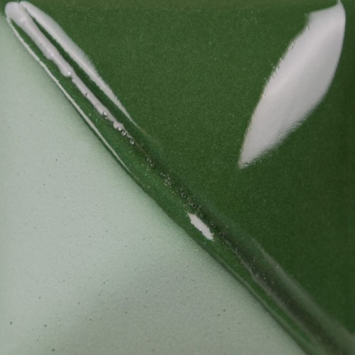 579eb8d77a9474d99b14d443c00350e2