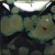 d1d00530e57964e833fd6de739b9a0f6