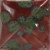 1c9ac95a717ee7d1a4ae5210eb42ef8c