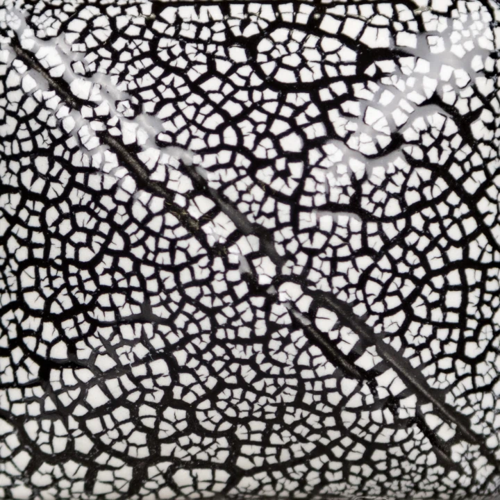 d0adb5684512f00d72abdb9f4e0d7731