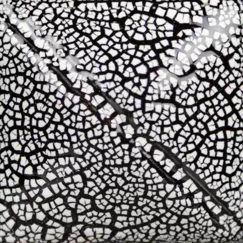 e8e817ddcf7ea7353e1eabd10c040b77