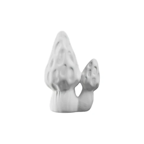 a3c8ebcac60b054df85878904a3a5599