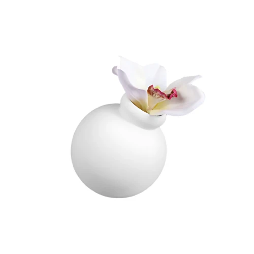 81359a19263fe72cea9ed311ef00f997