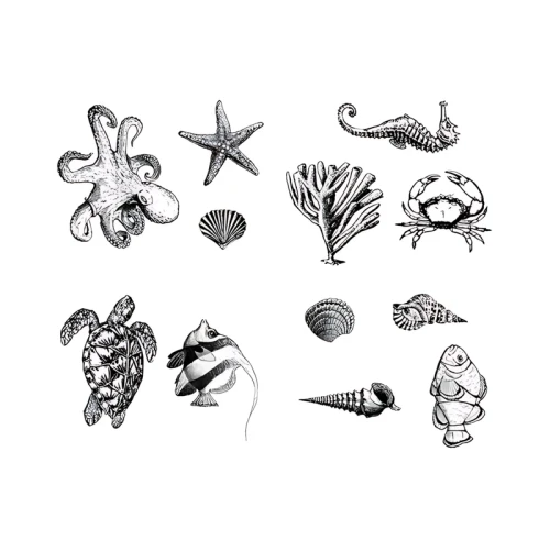 36a76f74bfa7ae44c17aed4b33eebd71