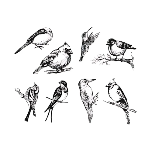 46aade1d1204a1a0b1fc21d42523f433