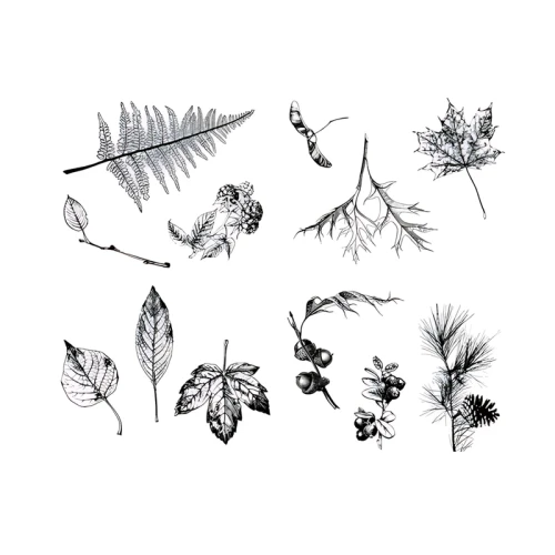Szablon do sitodruku Mayco Botanical Leaves