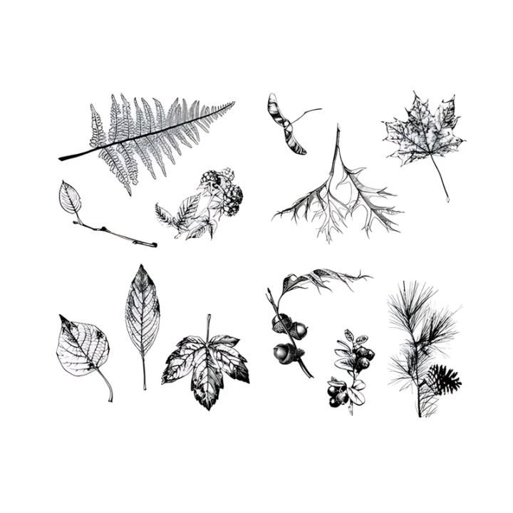 Szablon do sitodruku Mayco Botanical Leaves