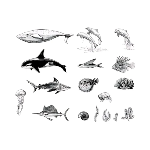 Szablon sitodrukowy Mayco Sea Life 2 do ceramiki