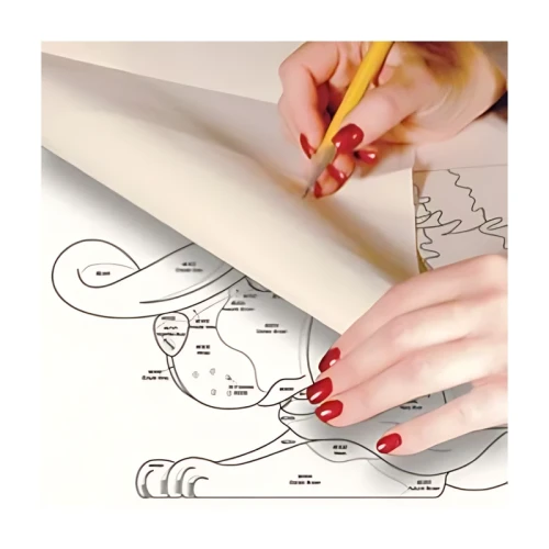 f933bab9ad2af781194658b1ee5992c4