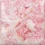 Szkliwo ceramiczne Mayco Stoneware SW226 Pink Pearl 473 ml — zdjęcie 1