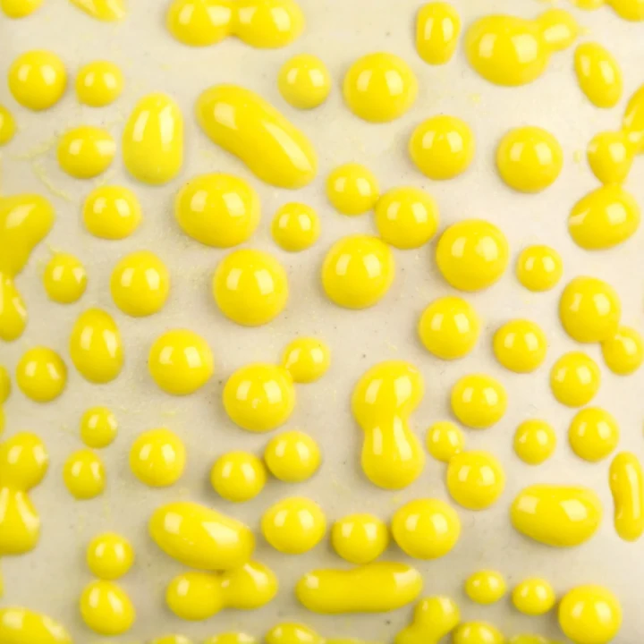 Szkliwo ceramiczne Mayco Stoneware SW441 Yellow Bead 473 ml — zdjęcie 1