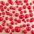 Szkliwo ceramiczne Mayco Stoneware SW443 Red Bead 473 ml — zdjęcie 1