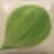 Farba podszkliwna Duncan E-Z Stroke EZ028 Leaf Green - wypał 1305°C (Cone 10)