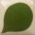 Farba podszkliwna Duncan E-Z Stroke EZ033 Ivy Green - wypał 1222°C (Cone 6)