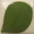 Farba podszkliwna Duncan E-Z Stroke EZ033 Ivy Green - wypał 1305°C (Cone 10)