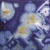 Szkliwo Mayco Stoneware SW190 Passion Flower - wypał 1305°C (Cone 10)