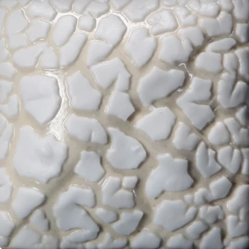 Szkliwo Mayco Stoneware SW403 White Mudcrack - wypał 1222°C (Cone 6)
